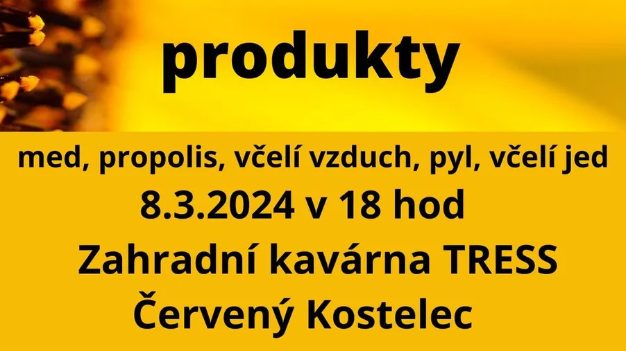 Mgr. Šárka Vávrová - přednáška